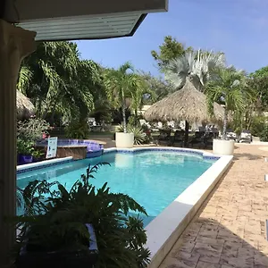 Bananas Adults Only Apartamento Palm Beach